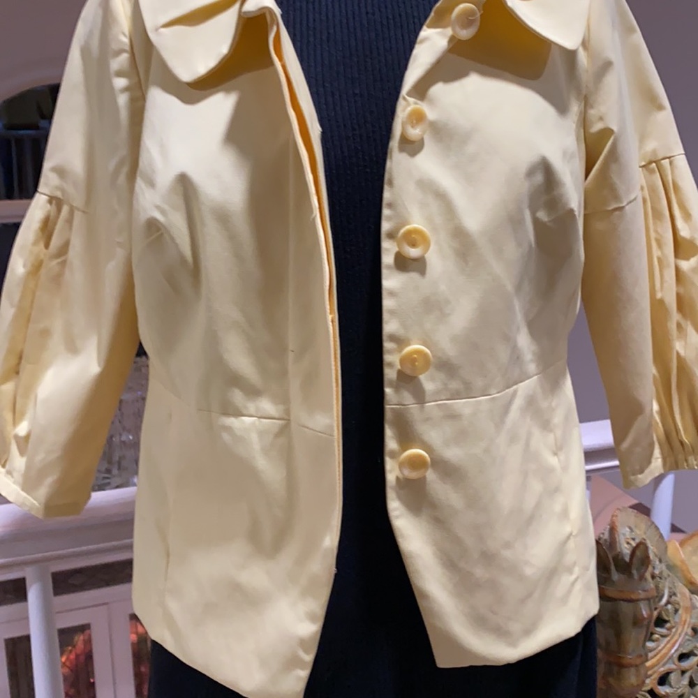 Yellow jacket 🐝 - Picture 6 of 8